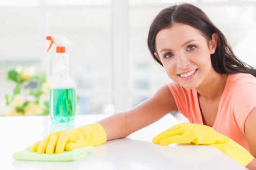 Professional steam carpet cleaning in a Stockwell home
